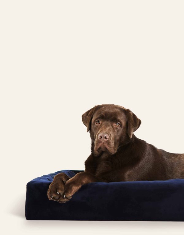 Bia Bed - Royal hoes Navy - Afbeelding 2